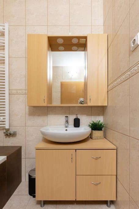 S22 Apartment Budapest Bagian luar foto